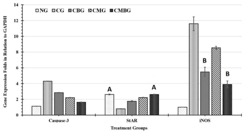 Figure 12