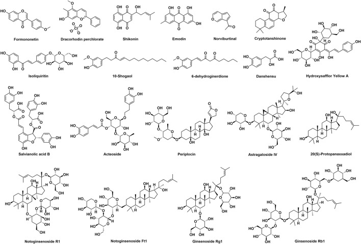 FIGURE 2