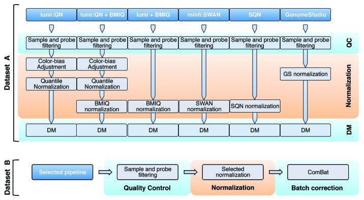 graphic file with name epi-8-333-g1.jpg