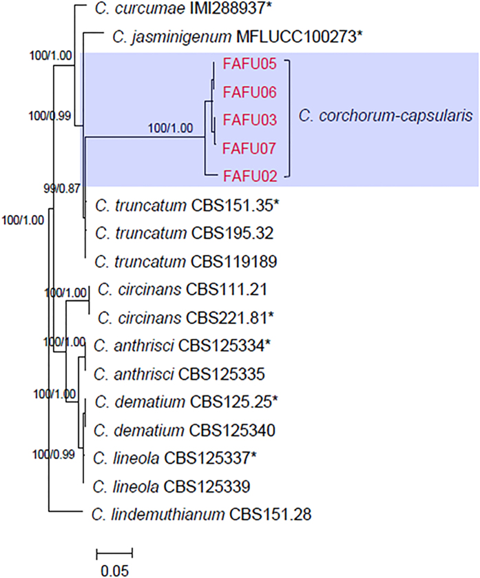 Figure 2