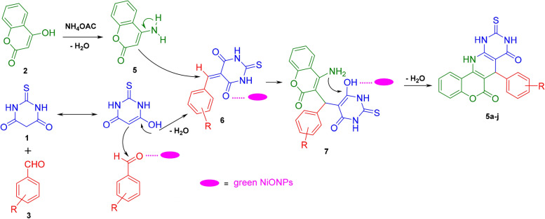 Scheme 3