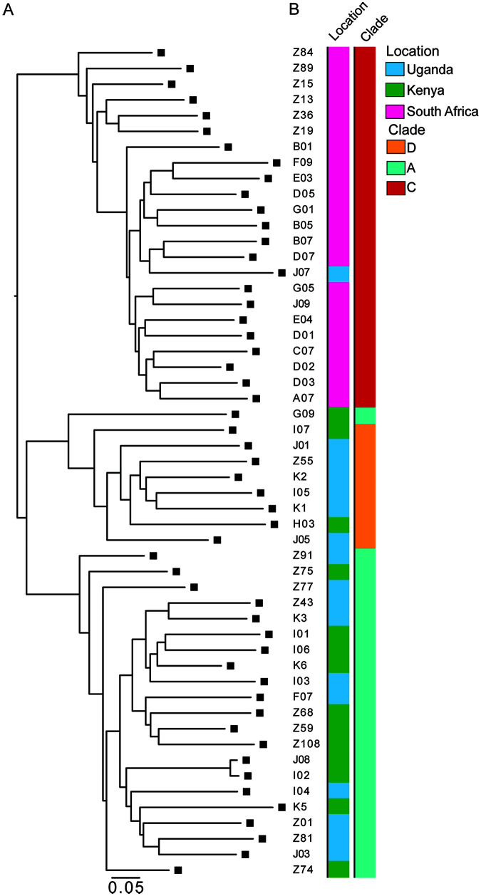 FIG 1