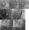Fig. 6