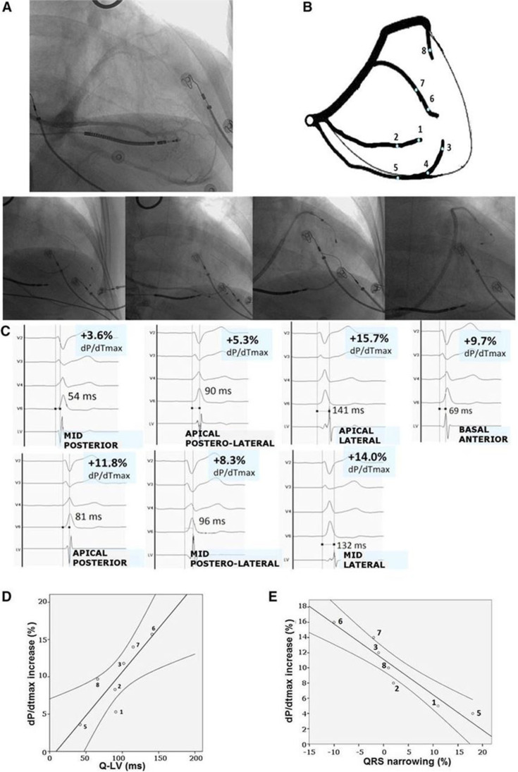 Fig. 5