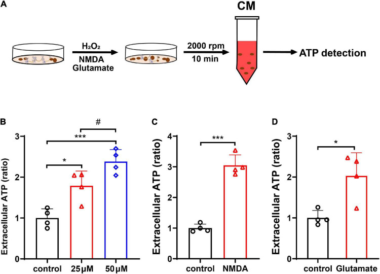 FIGURE 3