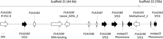 Fig. 5