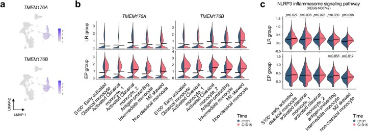 Extended Data Fig. 8