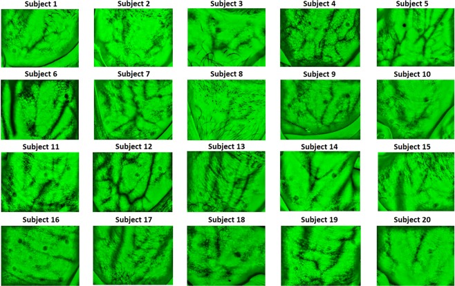 Figure 3