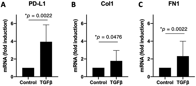 Fig. 5.