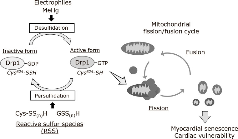 Fig. 3.