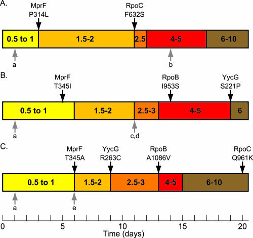 FIG. 3.