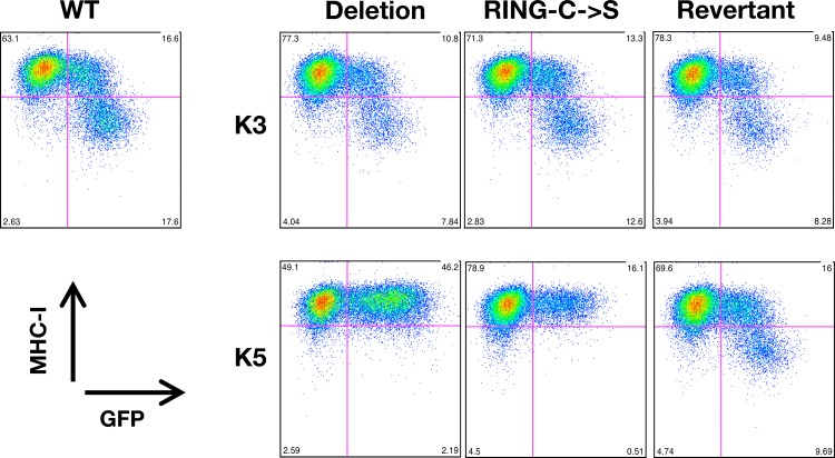 Fig 6