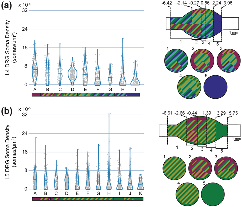 Figure 5: