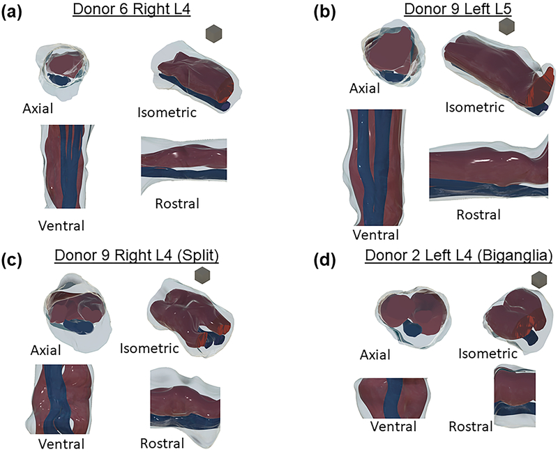 Figure 3: