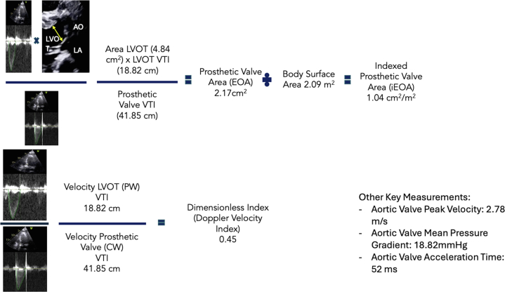 Figure 3