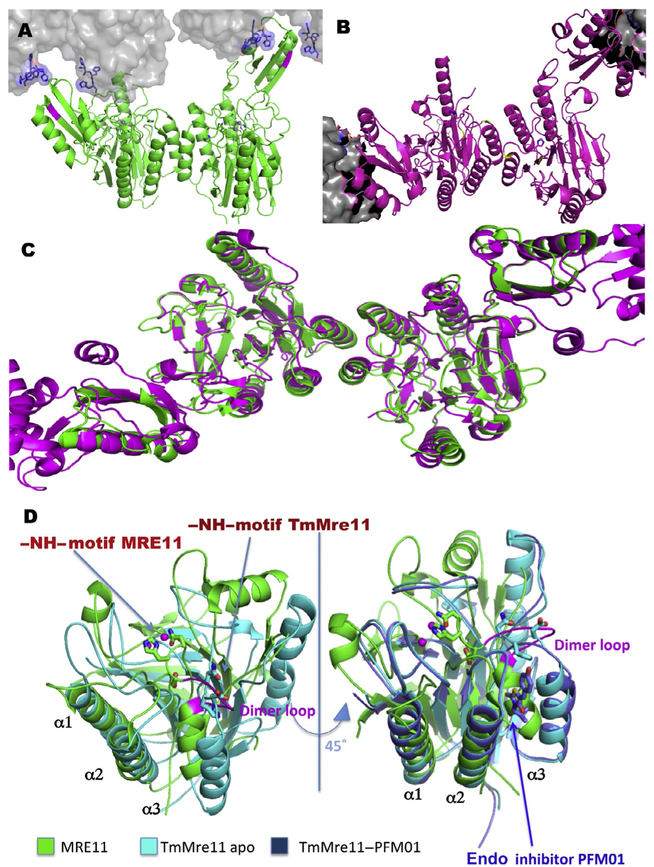 Fig. 6