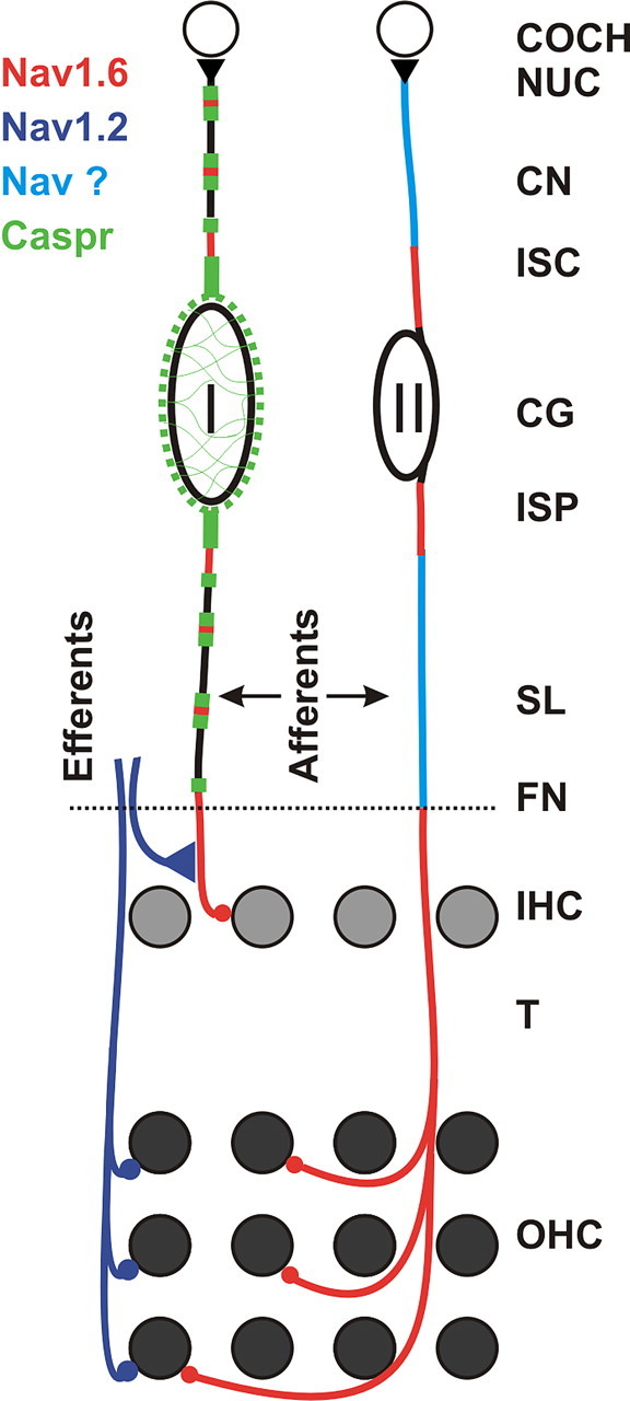 
Figure 8.
