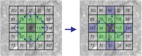 Figure 14.