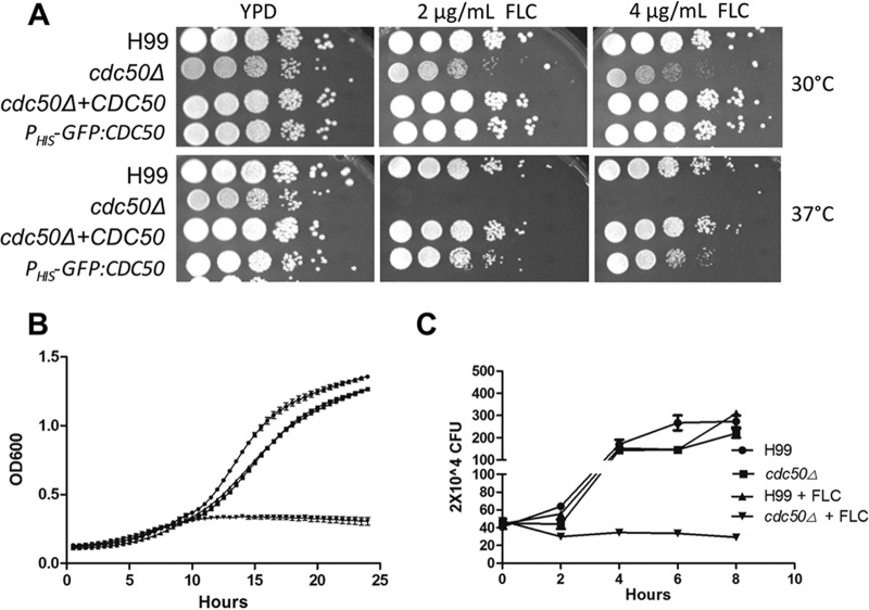 FIG 4 