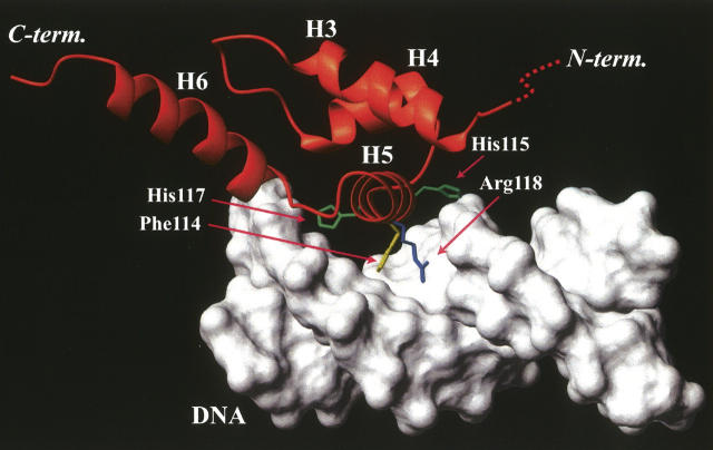 Figure 5.