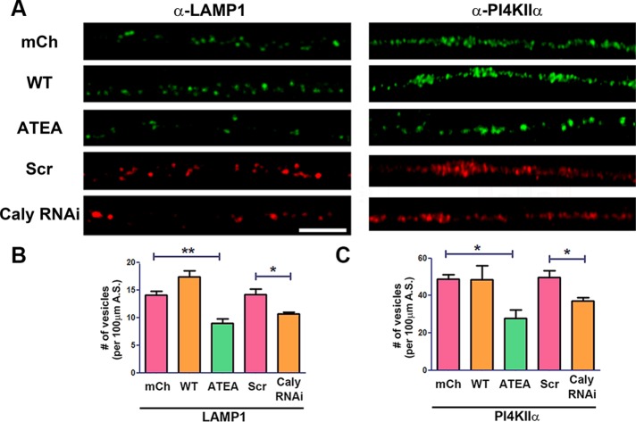 FIGURE 6: