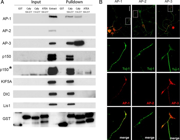 FIGURE 3: