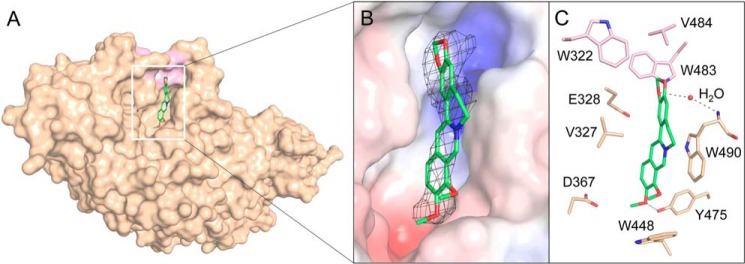 Figure 5.