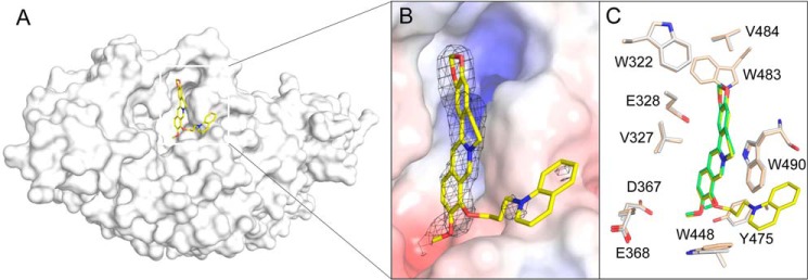 Figure 6.