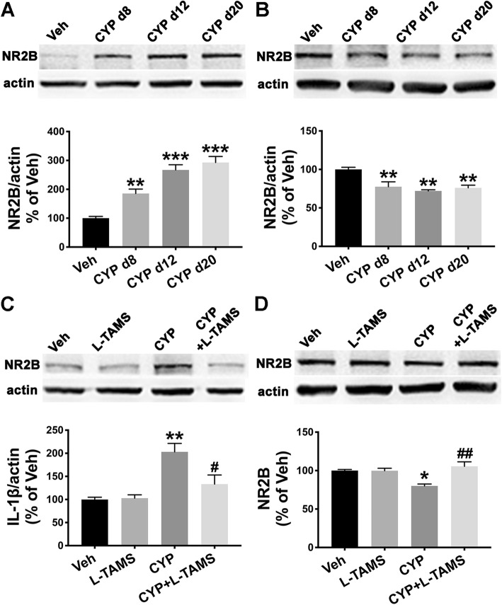 Fig. 11