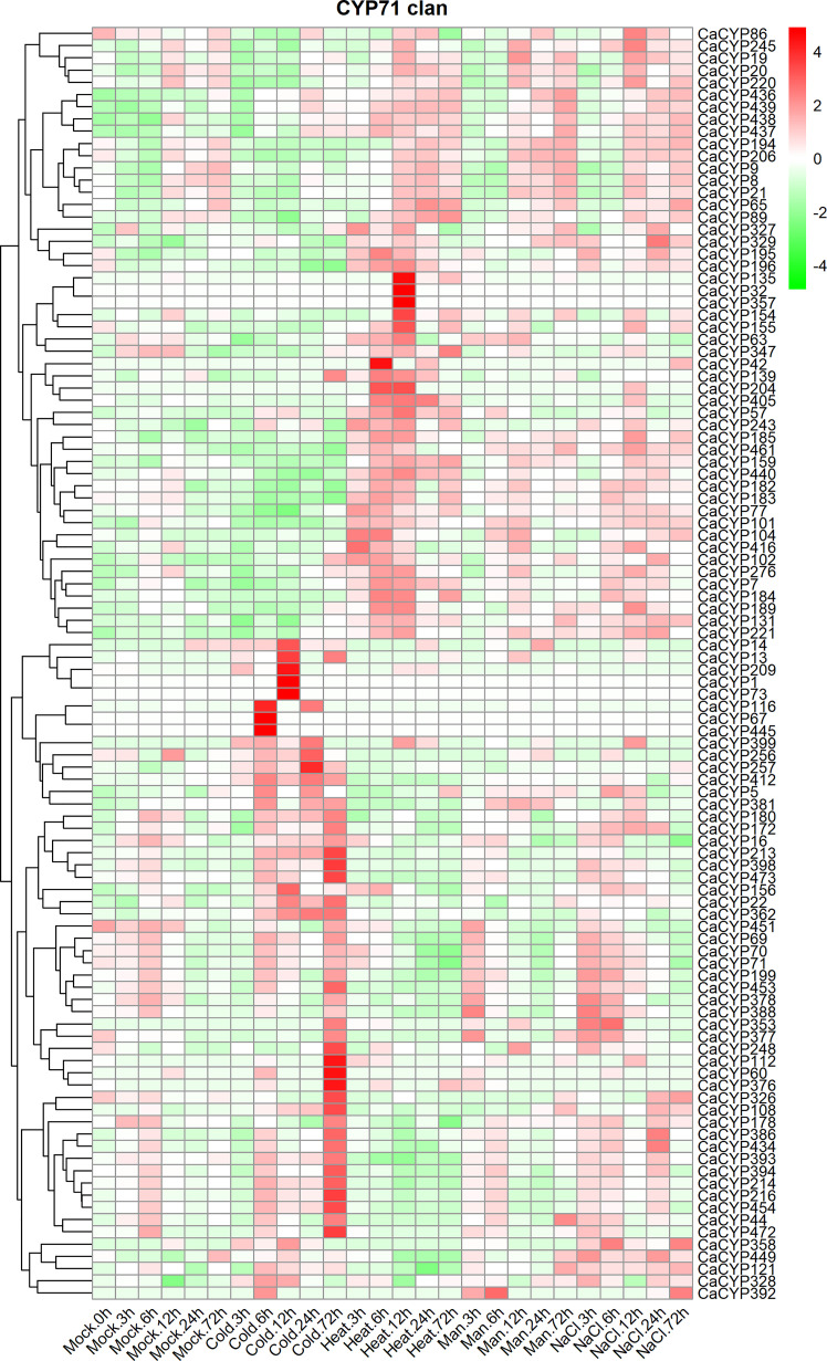 Figure 6