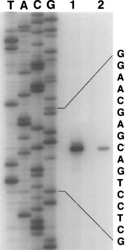 FIG. 6