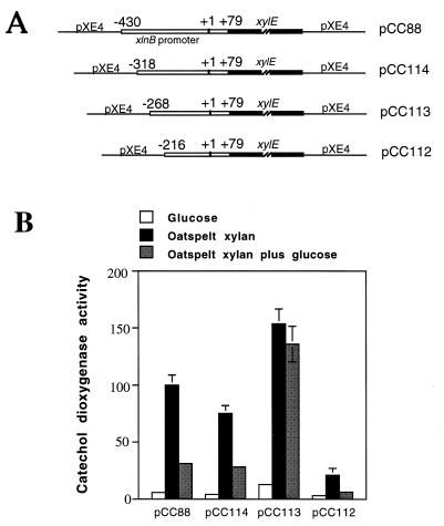 FIG. 8