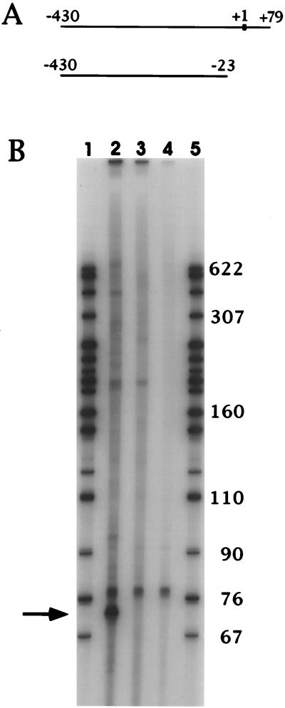 FIG. 7