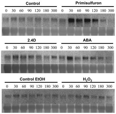 Figure 7.