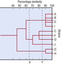 Fig. 3.1