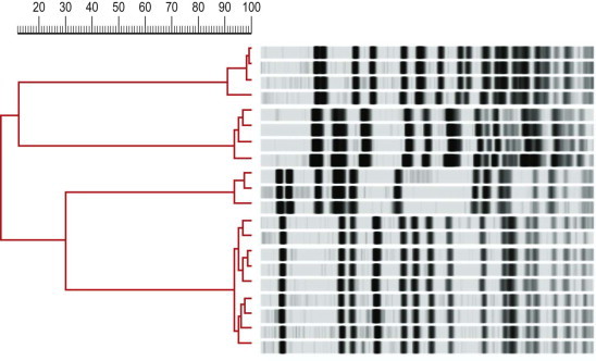 Fig. 3.4