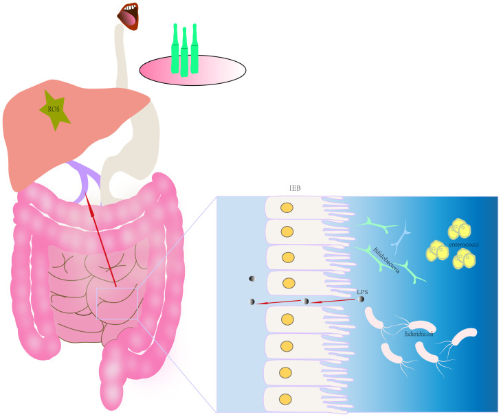 Figure 12