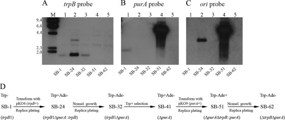 Fig. 2.