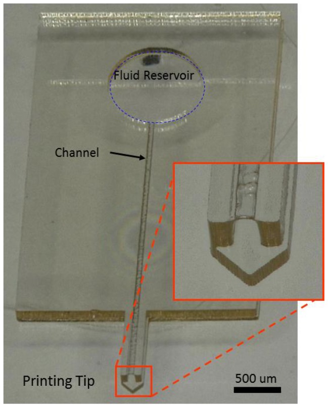 Figure 2