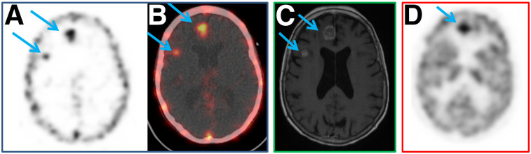 FIGURE 1.