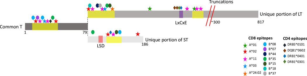 Figure 2: