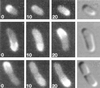 FIG. 10