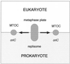 FIG. 14