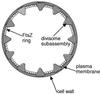 FIG. 8