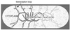 FIG. 13