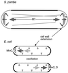 FIG. 11