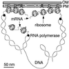 FIG. 12