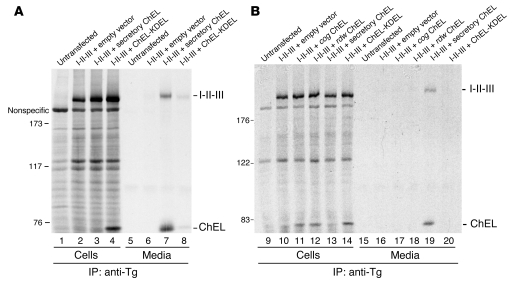 Figure 11