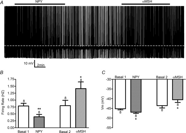 Figure 17