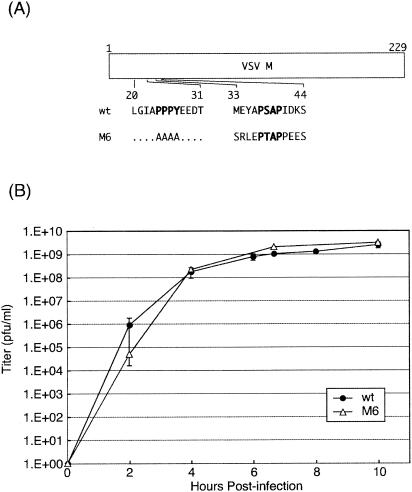 FIG. 5.